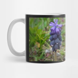 Purple Flower Mug